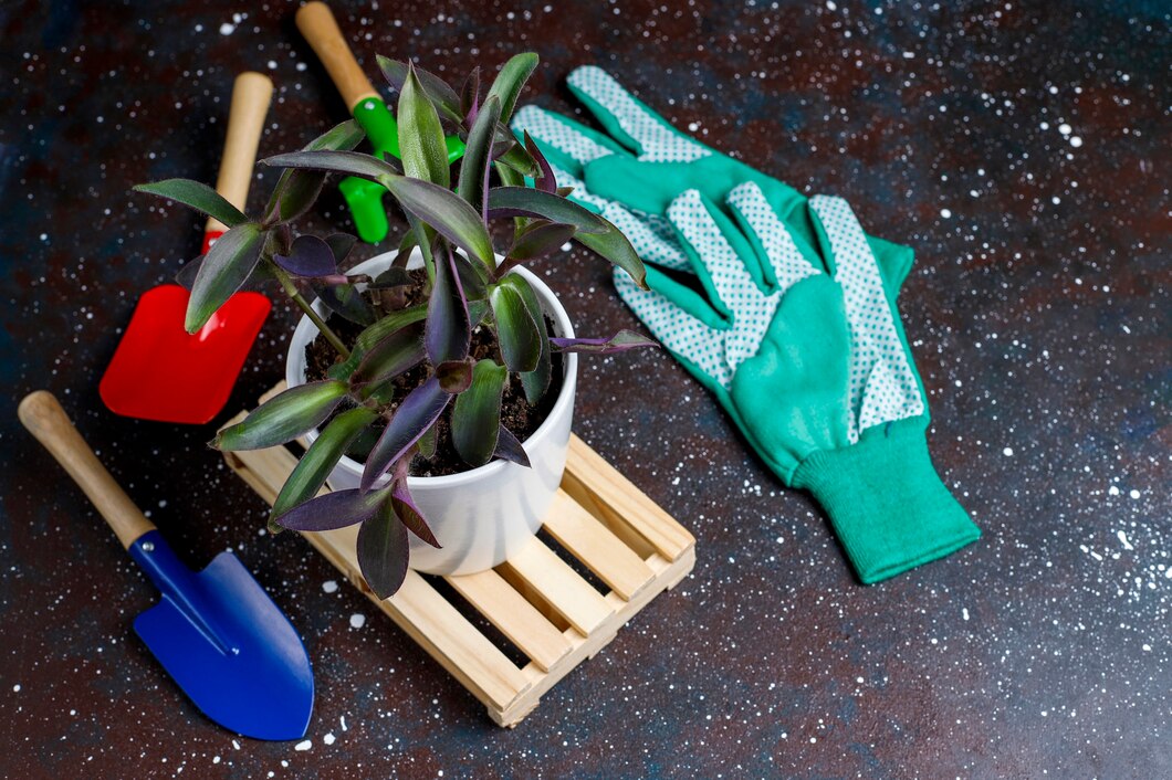 Jak wybrać idealną pompę ręczną do ogrodu – poradnik dla początkujących