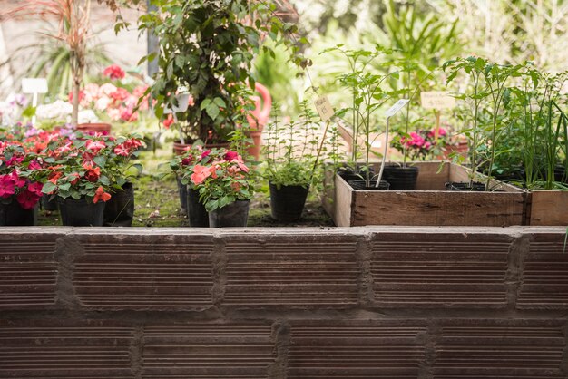 Jak wybrać idealną skrzynię do przechowywania dla twojego ogrodu?